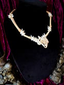 Parakeet Skull - Bone Necklace 