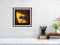 Image 3 of 'Shaded Plant' Print