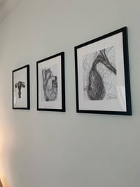 Image 1 of Print frames 