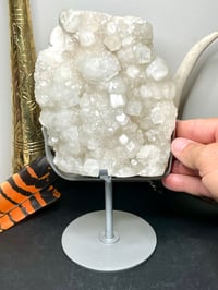 Image 6 of Apophyllite Cluster Display Specimen | India #2792