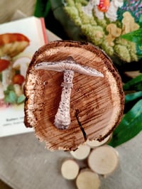 Image 5 of Grzybowe magnesy na lodówkę 