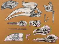 Image 1 of museum drawer large flash sheet