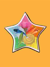 Full Spectrum Star