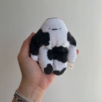 Image 1 of Mini Cow Bloog