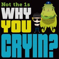 Not the 1s - Why You Cryin? 12"