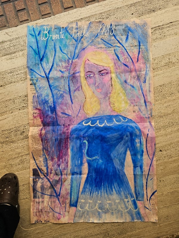 Image of 'Brontë Falls 1988'