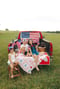 Image of 4th of July Minis (retainer only)