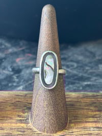 Image 1 of Abalone Ring (5)