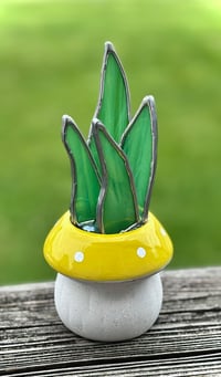 Image 1 of Spike plant with mushroom pot 