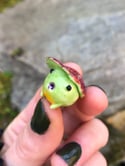 Leaf Frog 