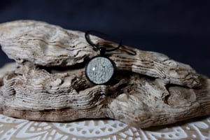 Image of ‘Dessert Snow’ Collection - Veiled Chameleon