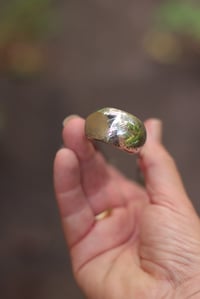 Image 2 of grosse, schwere Zuckerzange mit Muschel als Greifer