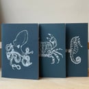 Image 1 of Sealife sketchbooks - pack of 3