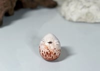 Image 1 of Shelly
