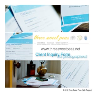 Image of Client inquiry form (editable)