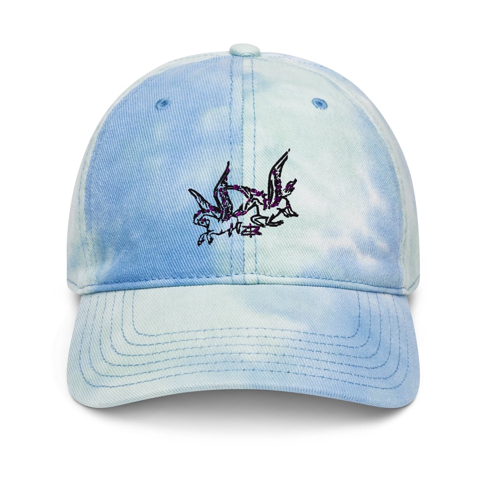 Pegasi Tie dye hat