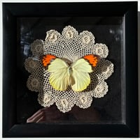 Image 3 of Doily Butterfly Frame