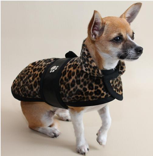 Spoiled Dogz Boutique — Coats/Jackets