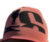 Research and Development Thermo Senstive Beanie
