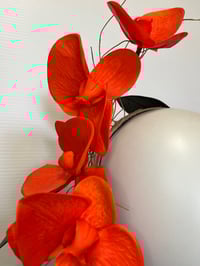 Image 2 of Orange orchids.
