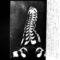 Image 10 of SALE 2 #37 - SPECIAL MASO 