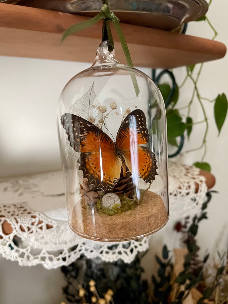 Image of Butterfly Ornament II