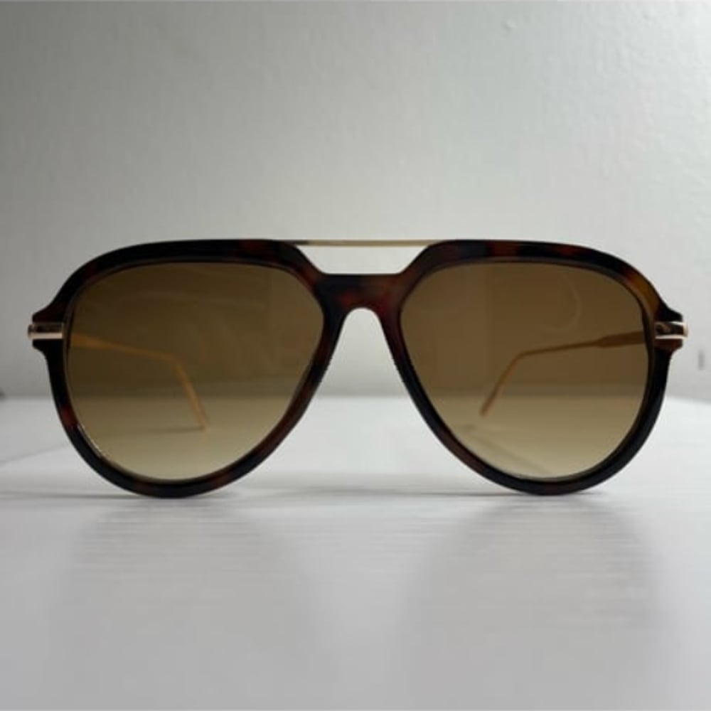 Image of Envy Sunglasses 