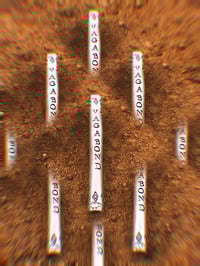Image 1 of Vagabonds Of the Western World 