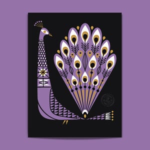 Image of Peacock-Purple