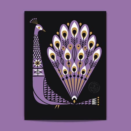 Image of Peacock-Purple