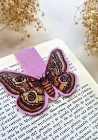 Image 4 of Magnetic Insect Bookmarks 