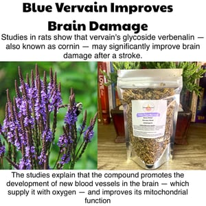 Image of Blue Vervain Herbal Extract 