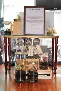 Image of DIY - Moss & Plant Terrariums