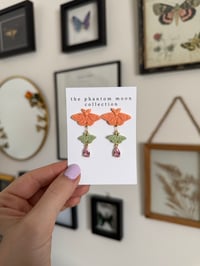 Image 2 of Spring Moth Studs