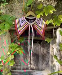 Image 3 of THE FABULOUS STAINS COLLAR