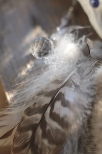 Image 5 of Suncatcher - Corno di capriolo e Tanzanite