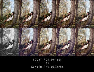 Image of Moody Action Set ( CS & Higher )
