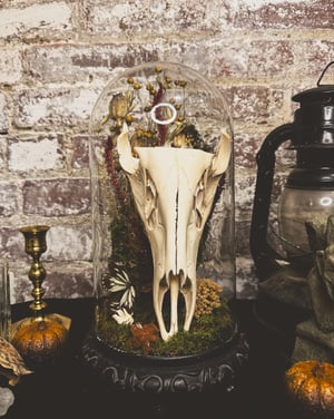 Image of Deer Skull Cast Iron Cloche