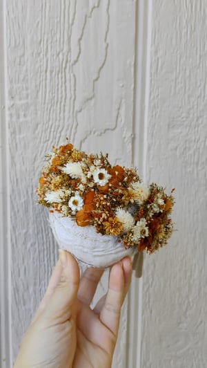 Image of Sally haloo