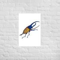 Image 5 of Hercules Beetle Print