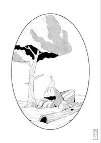 Image 1 of Opal terrarium 