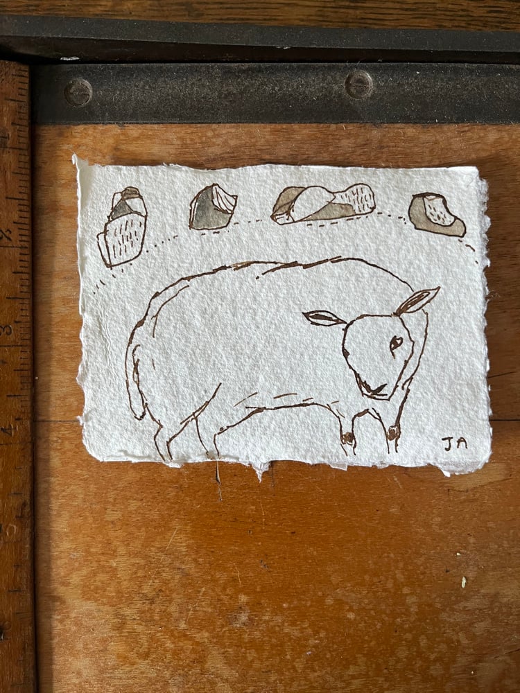 Image of Sheep in a stone circle