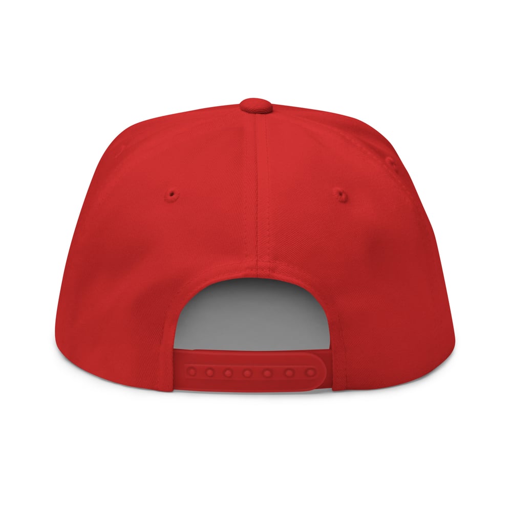 DTMA SNAPBACK