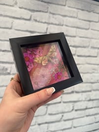 Image 2 of Unmonsuzume Hawkmoth Frame