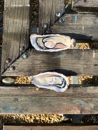 Image 4 of Hand Painted Oyster