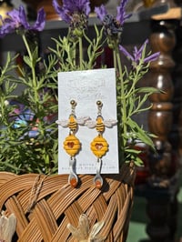 Image 1 of Honey Bees 