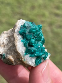 Image 6 of Dioptase Specimen | Congo #3011