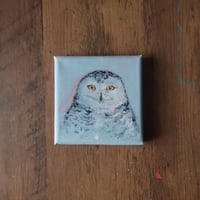Image 1 of Snowy Owl