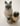 At52 Set of stacking cats - 3 Siamese cats and 1 mouse 
