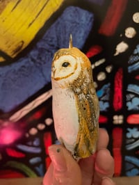 Image 3 of Twig the owl